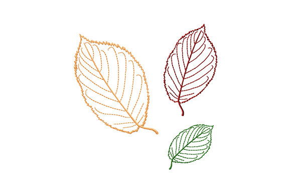 Beech Tree Leaves – A Designer’s Review for Real Projects
