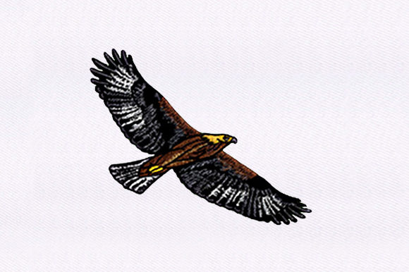 Brown Eagle – An Embroidery Designer’s Honest Review